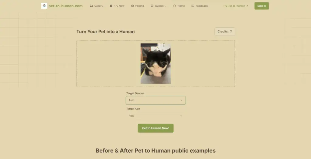 Pet-to-Human.com