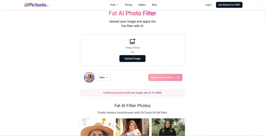 Pictools.ai ファットフィルター