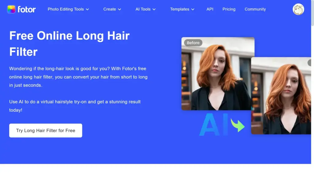Fotor ロングヘア変換フィルター - サイトにアクセス