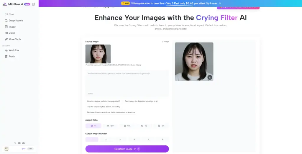 Miniflow.ai 泣きフィルター