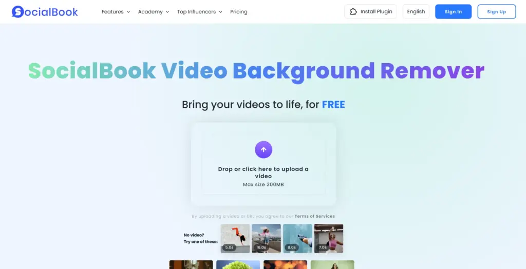 Socialbook 動画背景除去