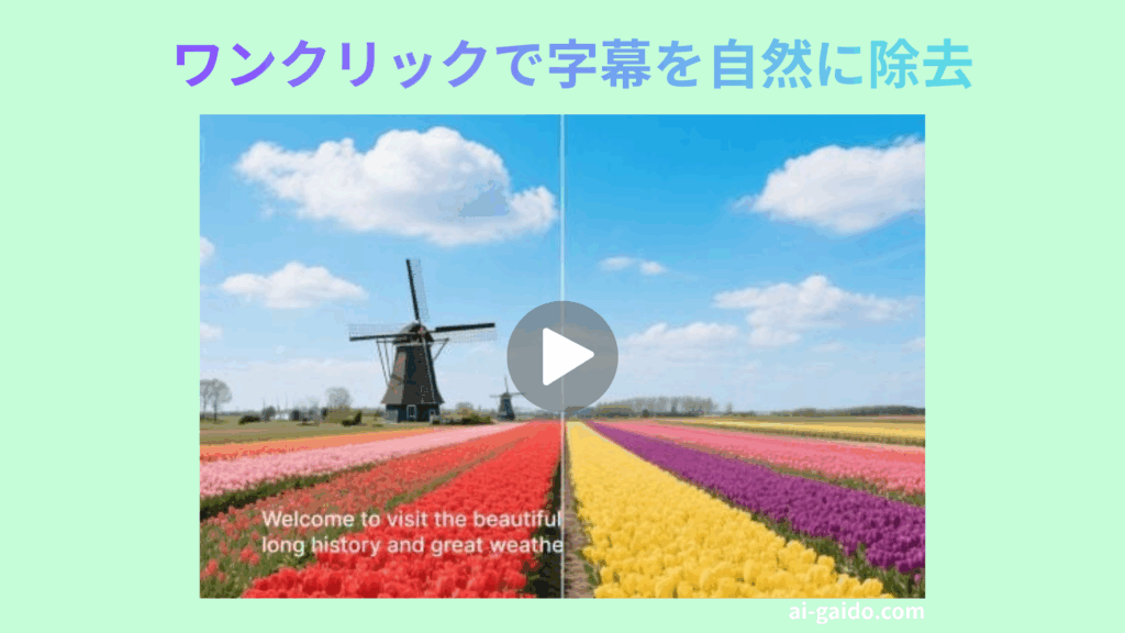 動画の字幕を消すサイトおすすめ