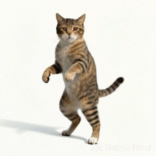 MagicHour AI GIFジェネレーター - 猫がダンスしている