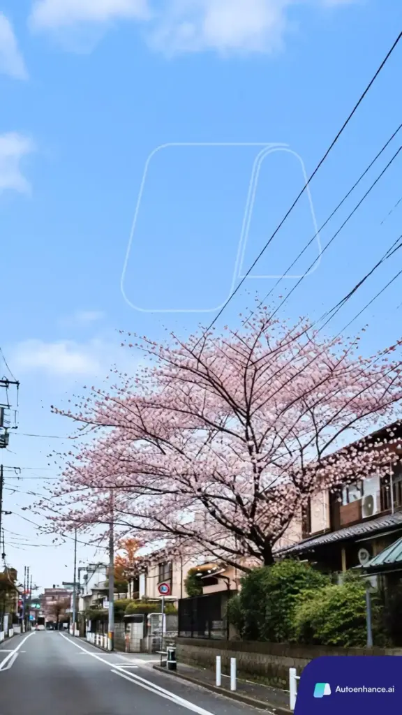 Autoenhance 青空加工実測