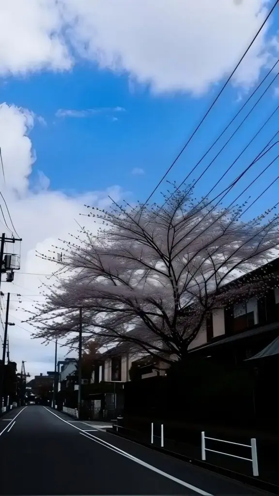 Evoto 青空加工実測