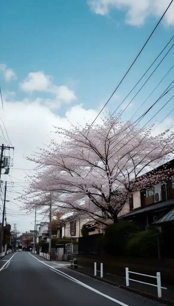 Pixelcut 青空加工実測